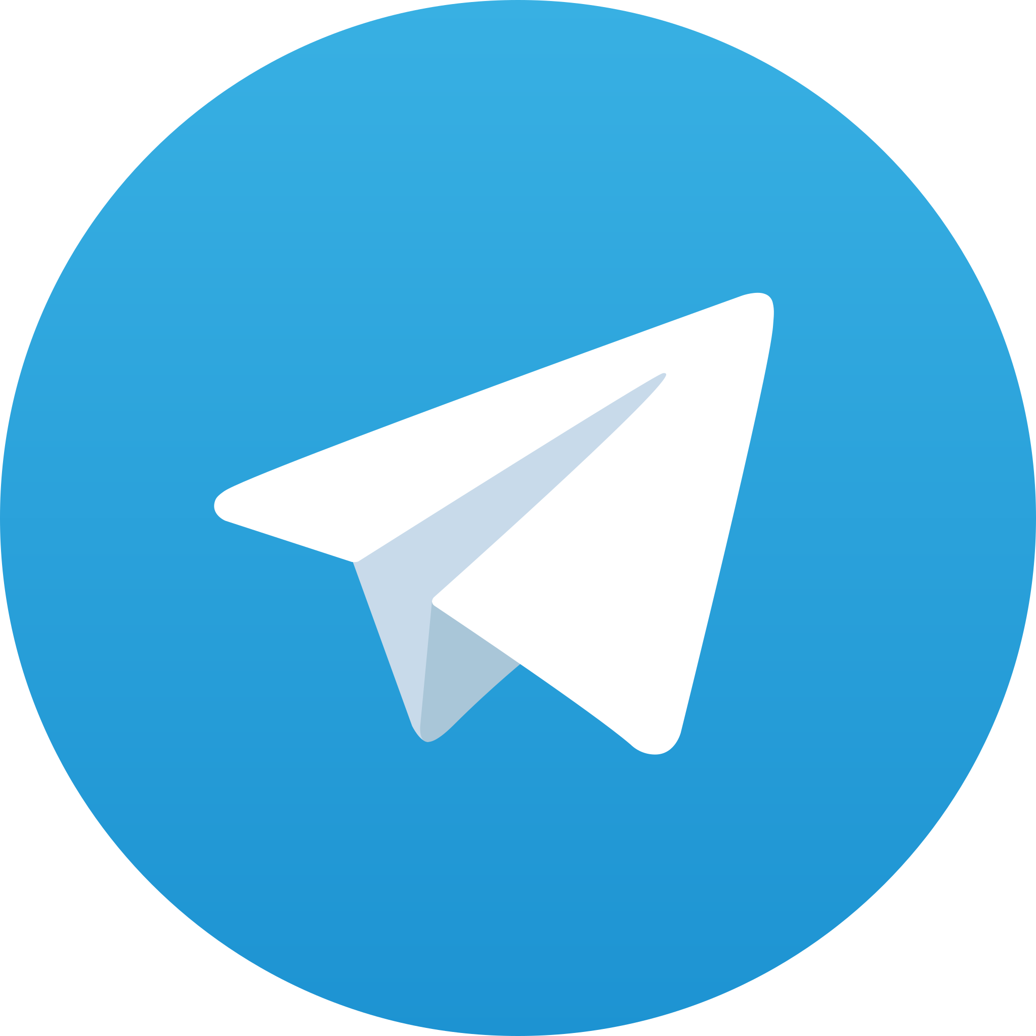 telegram soporte